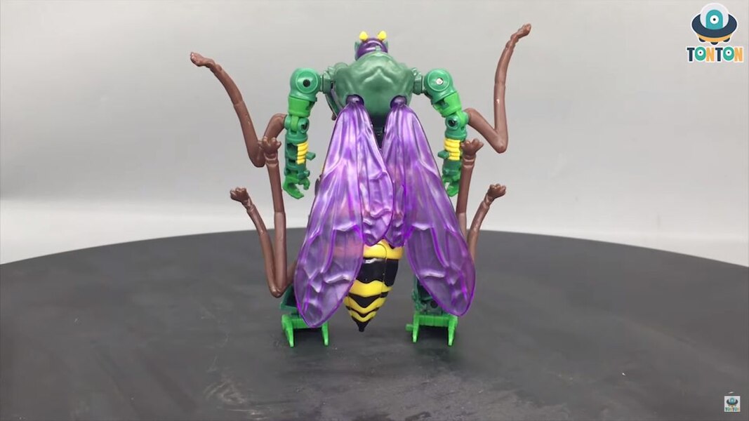 Transformers Kingdom Deluxe Class Waspinator  (11 of 35)